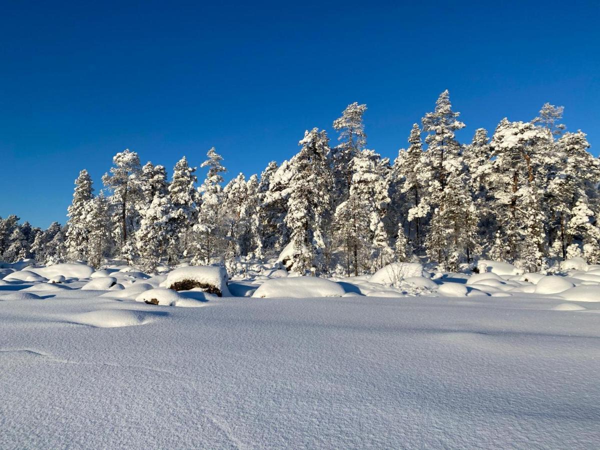 Norlight Cottages Ivalo - Tuli المظهر الخارجي الصورة