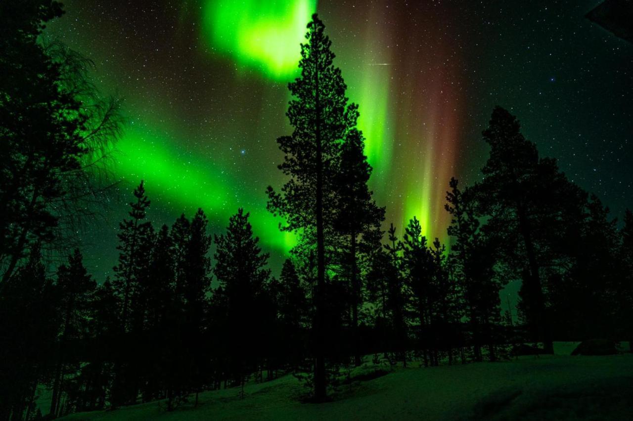 Norlight Cottages Ivalo - Tuli المظهر الخارجي الصورة