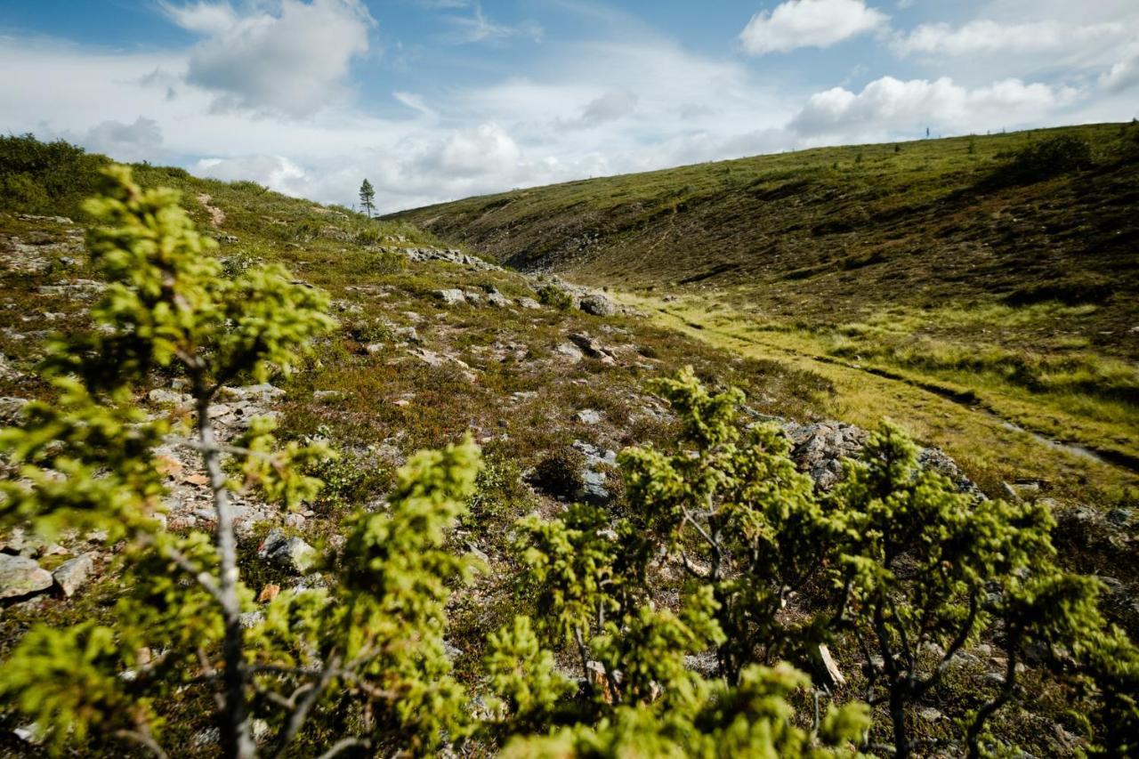 Norlight Cottages Ivalo - Tuli المظهر الخارجي الصورة